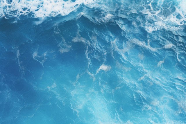 Whale Skin Seamless Texture - Photo #836 - Premium Textures - Free and ...